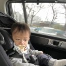 브로콜리 민박 | 251108 : 14개월 아기와 11월 제주도, #1
