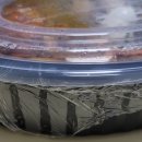 요달의찜닭대구1호점 이미지