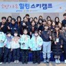 33 이미지