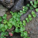 이교동 마을회관 이미지