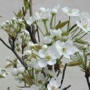 운성농장 이미지