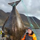 광어한마리 이미지