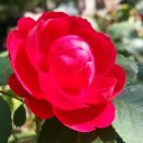 현대자동자써비스 이미지