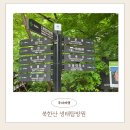 물푸레생태교육센터 | 서울 도봉구 북한산 생태탐방원 1박 후기 아이와 가볼만한곳