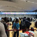 721 | 인천–홍콩 노선 아시아나항공 OZ721, OZ722 왕복편 탑승 후기