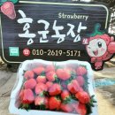 홍집농장 이미지