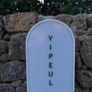 이플제주 이미지