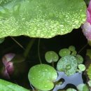 산골무지개 이미지