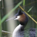 시온 ZION 이미지