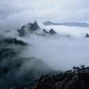 설악언니 이미지