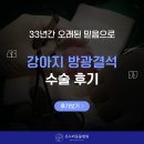 도담순천동물약국 | 순천 동물병원 강아지 방광결석 수술 후기