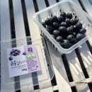 라하농장 이미지