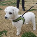 GS25 태평삼부 이미지