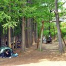 늘솔길공원양떼목장 이미지