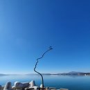 대포항 Daum카페