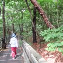 개화산 자락길 이미지