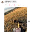 끼리끼리 네이버블로그