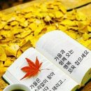 구월 의 노래 / 패티김 이미지
