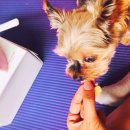 도기키친 프롬제주 이미지