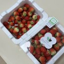 석문농장 이미지