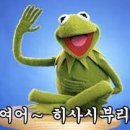디두 이미지