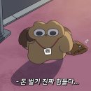 11500-19-22-105 | 2026. 1. 19. - 1. 25. 야호 클린 PR 갱신 (소박하게 105lb)