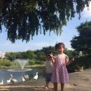 아침이슬반 지민이 여름방학 이야기... 이미지