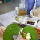 팔딱팔딱도매횟집