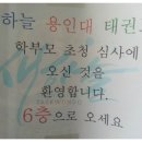 새하늘용인대태권도 이미지