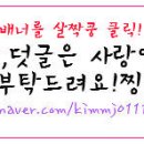 별빛아리수 이미지