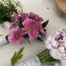 하래포토 부산웨딩스냅 계약 및 촬영후기