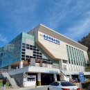 용운국제수영장 | 대전 용운국제수영장 자유수영 후기 및 준비물 요금 시간