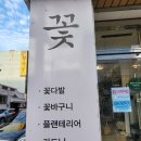 하대동113 이미지