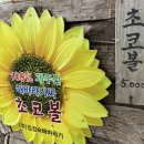 용기네 농장 이미지