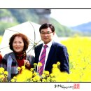 단성중학교 이미지