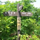 장미산주유소 Daum카페