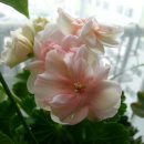 버거웍스 이미지