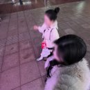 다이소진장점 | 테무그렇게좋아하더니그녀석결국중국까지가버렷다