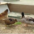 옥계중학교 이미지