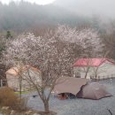 새막골 캠프 이미지