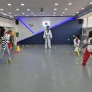 진영라온태권도장 이미지