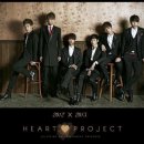 젤리피쉬 이미지