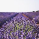 챌린져 복싱 GYM 이미지