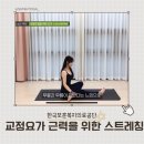 2024 건강근력 스트레칭 | 서울 기업 요가 촬영 | 한국보훈복지공단 직장인 대상 골반 교정 &amp; 근력강화 스트레칭