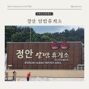 정안(상)휴게소 | 논산천안 고속도로 버스 환승터미널이 있는 정안 알밤 휴게소 하행 (feat.공주밤빵 시식 후기)