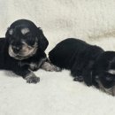 오픈주 하남스타필드점 이미지