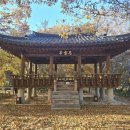 하림공원(수구막이숲) | [함양 가볼만한곳] 경남 함양 천년의 숲 상림공원