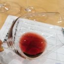 에노테라(EnoTerra) | [#에노테라] 가야 와인 시음회 2019 GAJA Wine Tasting