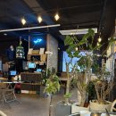묵호댁 선릉직영점 | 선릉역 맛집 묵호댁 선릉직영점 내돈내산｜해산물 안주에 분위기 좋은 술집 추천
