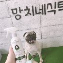 퍼리밀리 이미지
